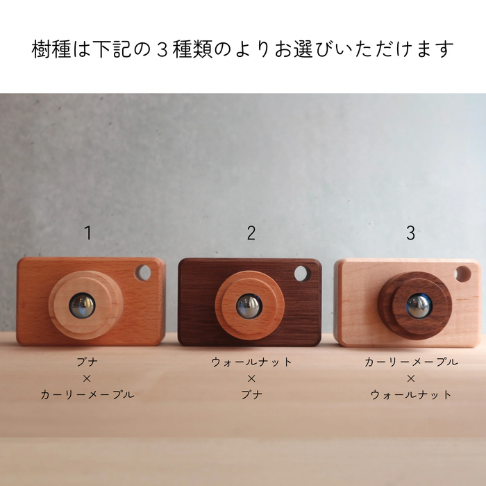 木製カメラ型印鑑スタンド｜高級銘木使用・全3種